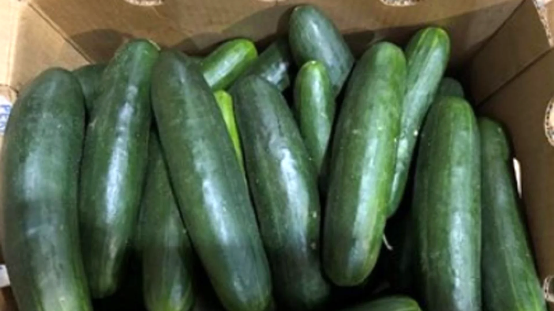 Bedner Growers Cucumber Salmonella Lawyer