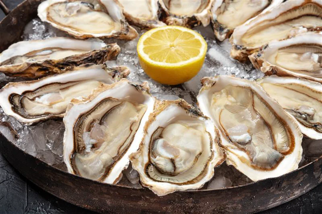 Raw Oysters Salmonella Lawyer